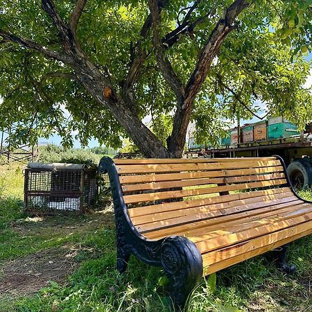 Eco House Apartman Gjoumri Kültér fotó